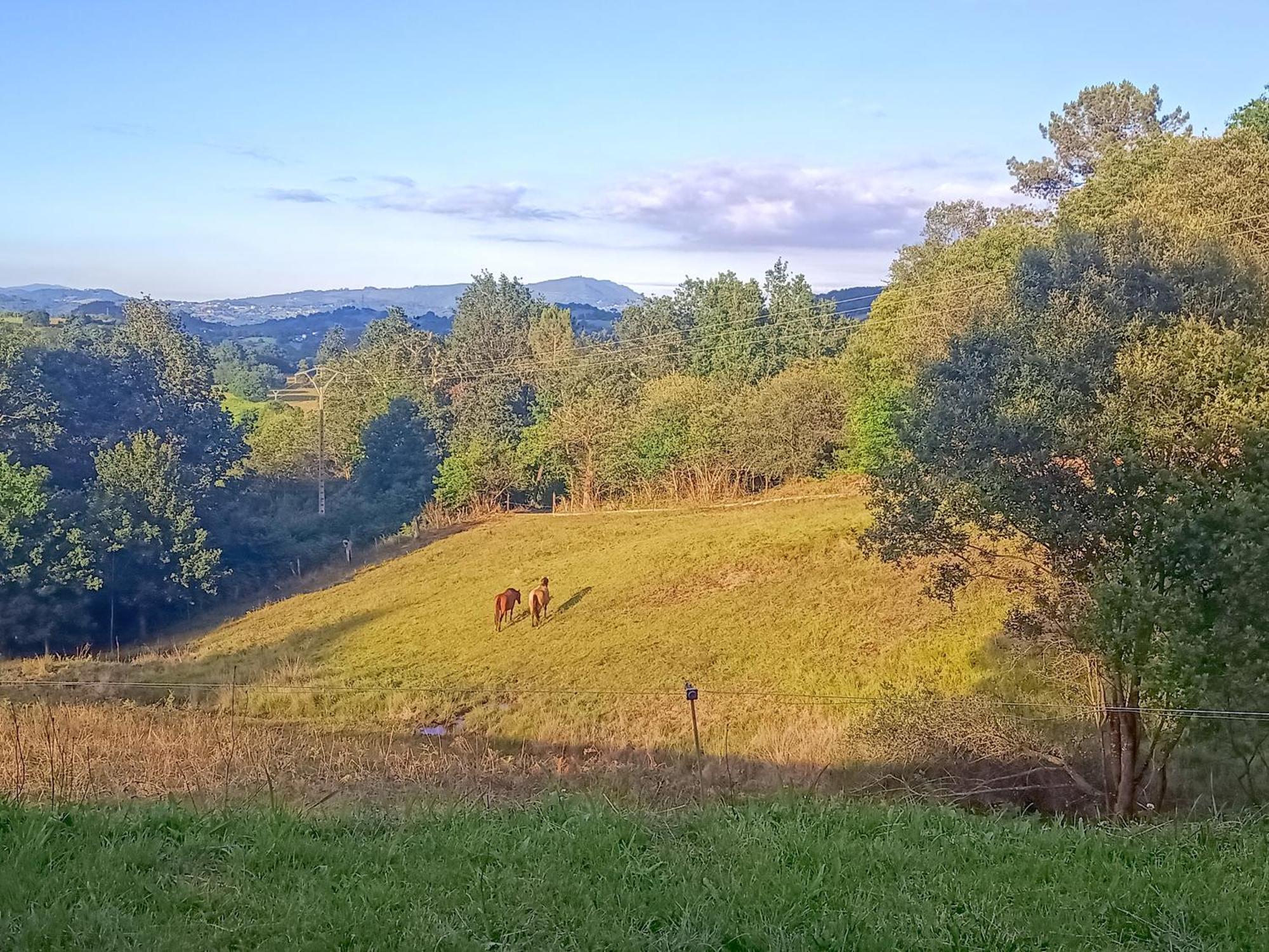 Casa Rural Tulia Grado Exteriér fotografie